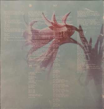 LP Black Foxxes: Black Foxxes LTD | CLR