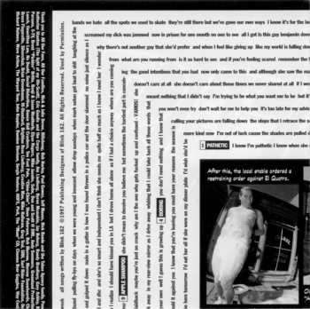 CD Blink-182: Dude Ranch