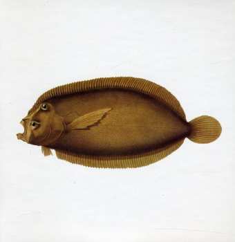 Album Blue Water White Death: Blue Water White Death