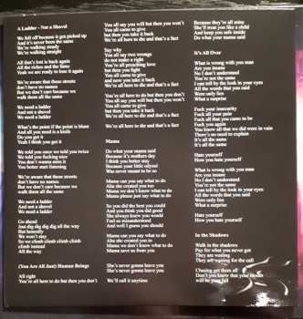 CD Bombus: Vulture Culture LTD | DIGI