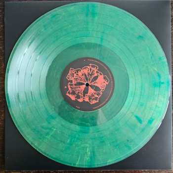 LP Bongloard: DYTYR? CLR