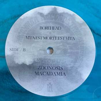 LP Vita Est Morte Est Vita CLR | LTD