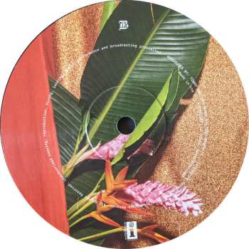 LP BØRNS: Blue Madonna