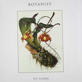 Album Botanist: VI: Flora