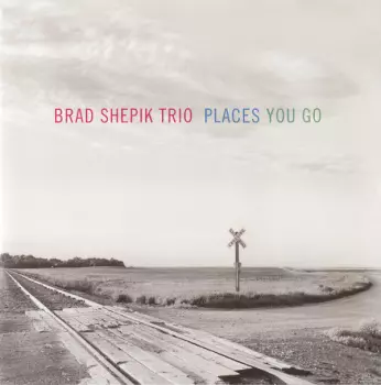 Brad Shepik Trio: Places You Go