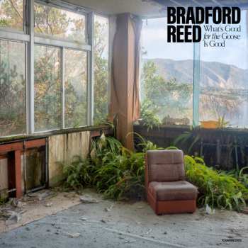 LP Bradford Reed: What's Good for the Goose Is Good