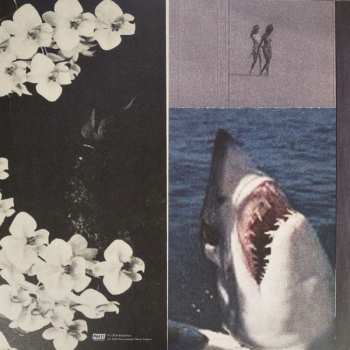 LP Brand New: Leaked Demos 2006