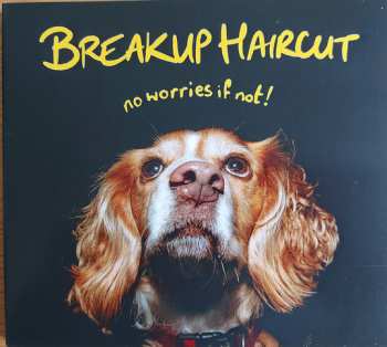 Album Breakup Haircut: no worries if not!