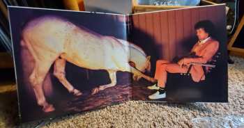 LP Brendan Benson: Dear Life