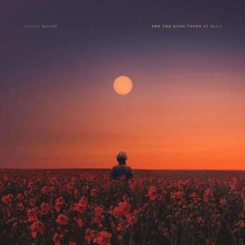 Album Brent Walsh: Are You Even There At All Ep