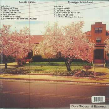 LP Brick Mower: Teenage Graceland