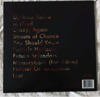 LP Brothertiger: Future Splendors