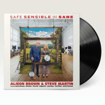 LP Brown,alison / Martin,steve: Safe Sensible & Sane