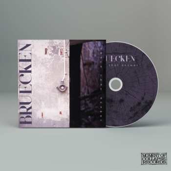 Album BRUECKEN: Years That Answer