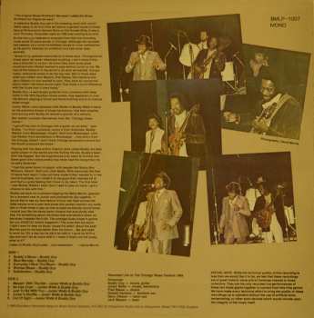 LP Buddy Guy:  The Original Blues Brothers