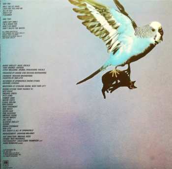 LP Budgie: Impeckable