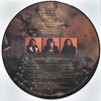 LP Budgie: Nightflight PIC