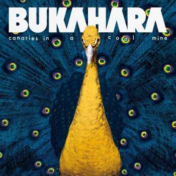 CD Bukahara: Canaries In A Coalmine