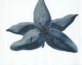 CD Burma Jones: Burma Jones