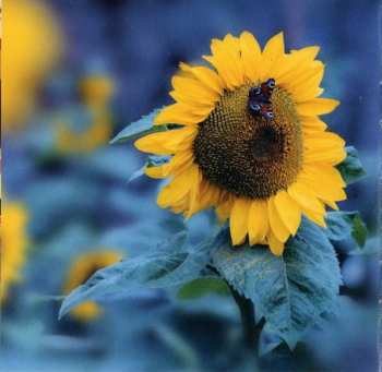 CD Burma Jones: Invaze