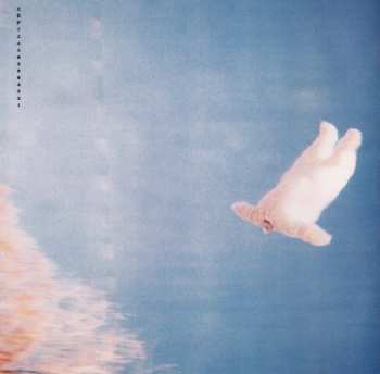 CD Butthole Surfers: Electriclarryland