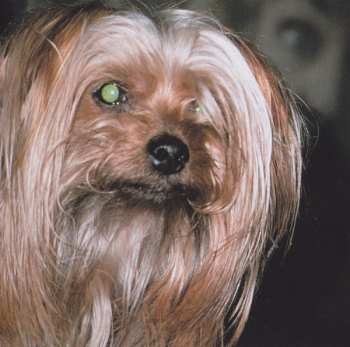 CD Butthole Surfers: Electriclarryland