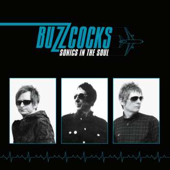 LP Buzzcocks: Sonics In The Soul CLR