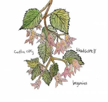 CD Caitlin Cary: Begonias