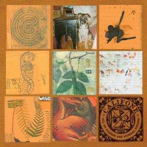 2LP Califone: All My Friends Are Funeral Singers