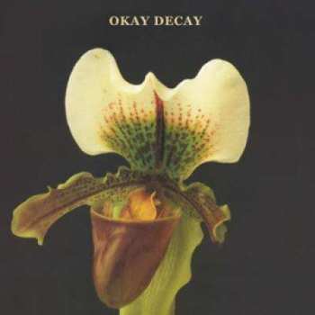 CD Canshaker Pi: Okay Decay