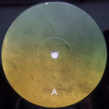 2LP Carbon Based Lifeforms: Twentythree