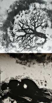 LP Carla Bozulich: Evangelista