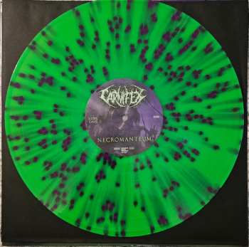 LP Carnifex: Necromanteum CLR | LTD