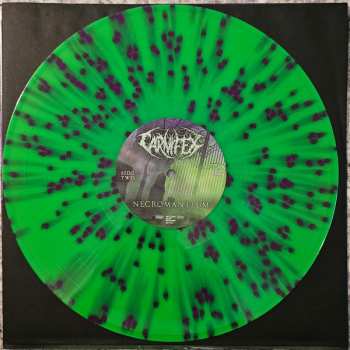 LP Carnifex: Necromanteum CLR | LTD