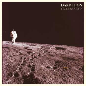CD Carolina Story: Dandelion