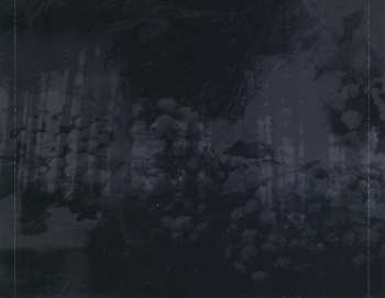 3CD/Box Set Carpathian Forest: The Fucking Evil Years