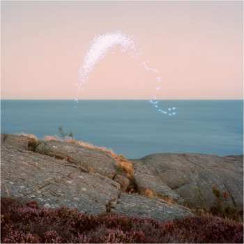 CD Cassandra Jenkins: An Overview On Phenomenal Nature