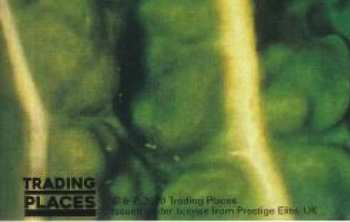 LP Catapilla: Changes