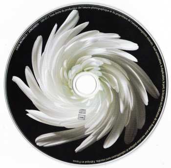 CD Catia Werneck: Jongando