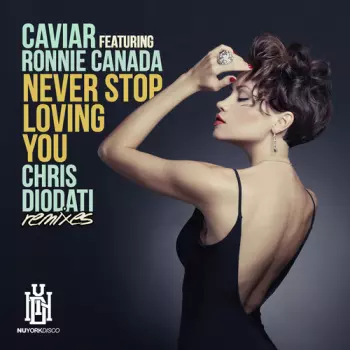 Never Stop Loving You