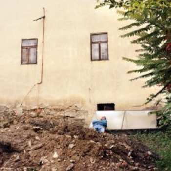 Album Celer: Mane Blooms