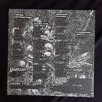 LP Celestial Sanctuary: Soul Diminished