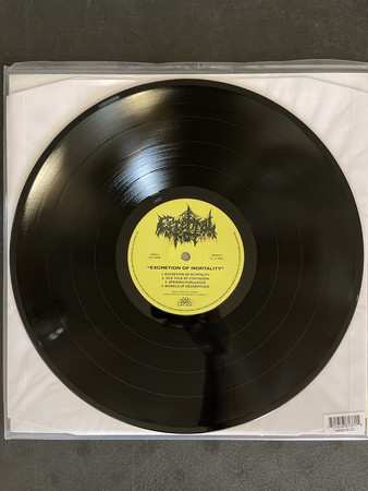 LP Cerebral Rot: Excretion Of Mortality