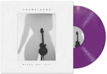 Album The Chameleons: Where Are You?