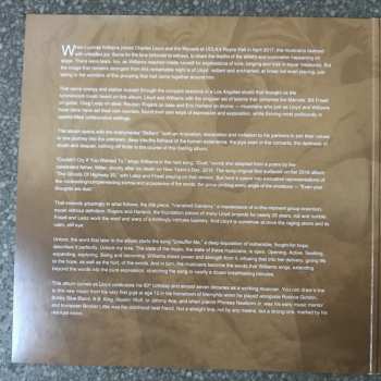 2LP Lucinda Williams: Vanished Gardens