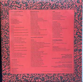 LP Chocolat: Rencontrer Looloo