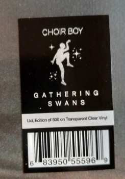 LP Choir Boy: Gathering Swans CLR | LTD