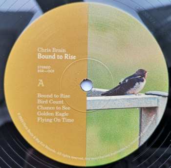 LP Chris Brain: Bound To Rise LTD