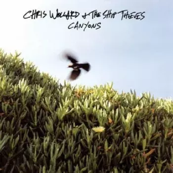 Chris Wollard & The Ship Thieves: Canyons