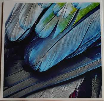 3LP Christophe Willem: Rio